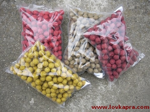 boilies