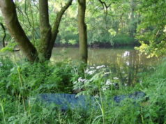 Lov kaprů na malých řekách Lov kaprů na malých řekách