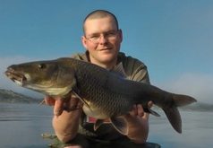 DVD: Cesta za největší parmou a kaprařským rájem (video)