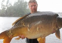 Milosrdné Rainbow Milosrdné Rainbow