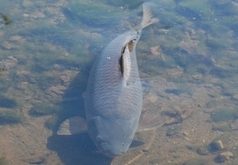 Jak tomu vlastně sám (ne)rozumím Jak tomu vlastně sám (ne)rozumím