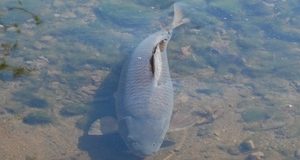 Jak tomu vlastně sám (ne)rozumím