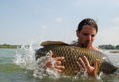 Kaprařina v extrémně čisté vodě Kaprařina v extrémně čisté vodě