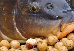 Přemýšlejte nad svou nástrahou Přemýšlejte nad svou nástrahou