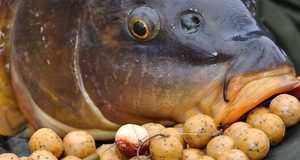 Přemýšlejte nad svou nástrahou