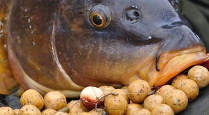 Přemýšlejte nad svou nástrahou