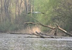 Můj lov na nepřístupných místech Můj lov na nepřístupných místech