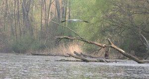 Můj lov na nepřístupných místech