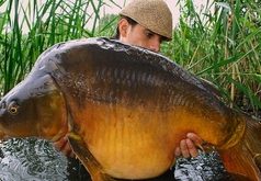 Sarrebourg - The Wild Life