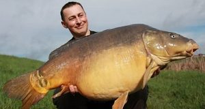 Což takhle dát si banán?