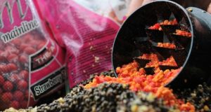 Jak využít kaprové krmení při lovu ostatních ryb