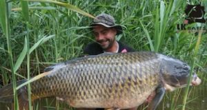 Pítrsův osobák na Labi (video)