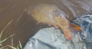 Od nadšení k zoufalství