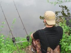 Sedm otázek pro Miroslava Bradávku Sedm otázek pro Miroslava Bradávku