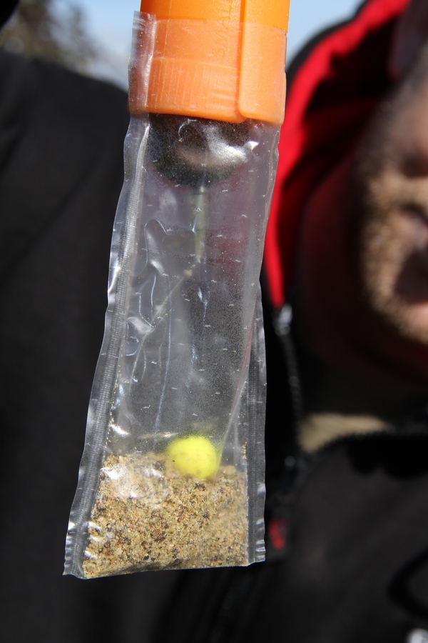 Dejte malé množství krmení a vložte háček s nástrahou