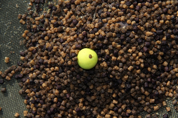 Výhodou PVA je prezentace nástrahy