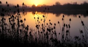 Zimní čas? Shokka vám kapry chytí...