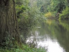 Řeka, skrývající mnoho tajemství Řeka, skrývající mnoho tajemství