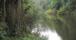 Řeka, skrývající mnoho tajemství