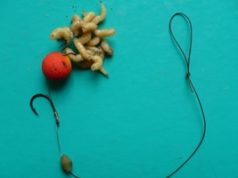 Maggot Rig - ideální návazec do chladné vody