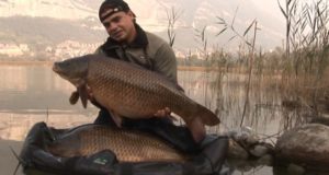 Video: Ochutnávka z filmu Žijeme lovem kaprů IV