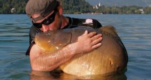 Video: Team LK Baits na kaprech ve Slovinsku