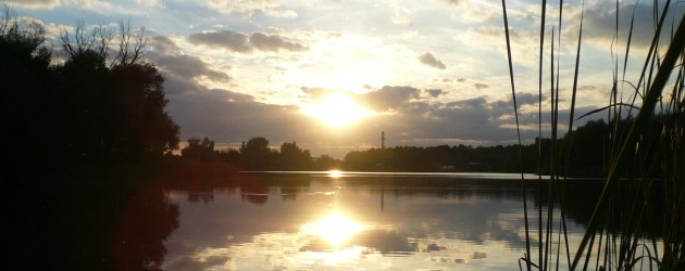 Vyvážet - ano či ne?