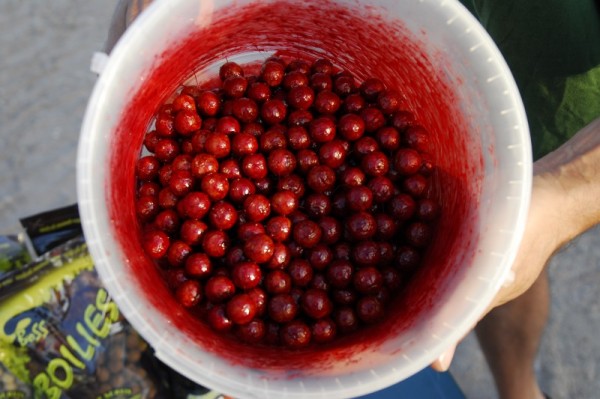 Účinnost byla fantastická