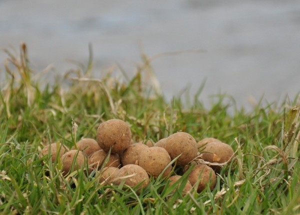 Vlastní boilies