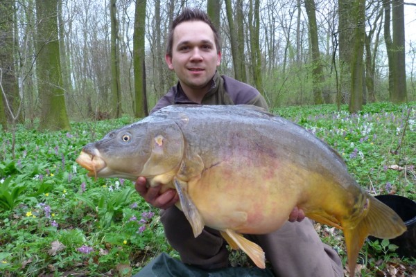 Kapr lysec