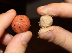 Doba rozpadu boilies a jeho působení ve vodě Doba rozpadu boilies a jeho působení ve vodě