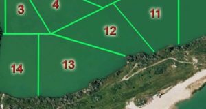 Jurrasic Park Carp Cup 2013