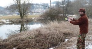 Recenze: Awa-Shima Brilliantinium Carp