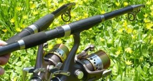 Recenze: Pruty Awa-Shima ISSIMI Telecarp