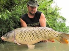 Dvacet dnů v deltě PO (2/2) Dvacet dnů v deltě PO (2/2)