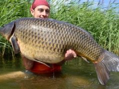 ROBIN ILLNER: 7 kapřích rad pro podzim ROBIN ILLNER: 7 kapřích rad pro podzim