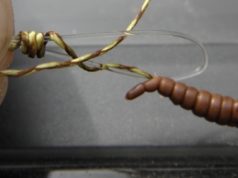 Oblíbený návazec Zdeňka Ipsera Oblíbený návazec Zdeňka Ipsera