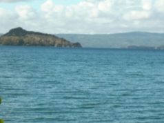 Lago di Bolsena – Kapři ze sladkovodního moře