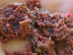 Recenze: Impact Carp food boilies 1 kg 18 mm