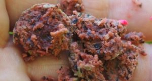 Recenze: Impact Carp food boilies 1 kg 18 mm