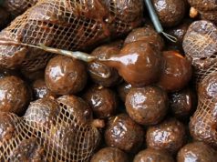 Tři dny na jezeře a test SuperFeed