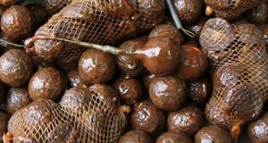 Tři dny na jezeře a test SuperFeed