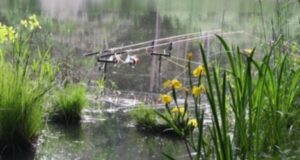 Návrat na místo činu