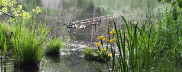 Návrat na místo činu