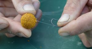 Extrémně dlouhé návazce - Zig Rig v praxi