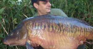 Dlouhá cesta aneb splnění kaprařského snu