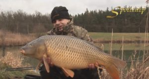 Video: Vánoční lov kaprů 2014