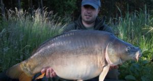 Rok krásných lysců