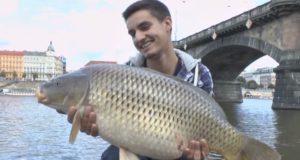 Video: Kaprařina v centru Prahy