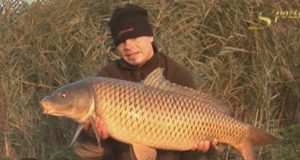 Video: Lov kaprů na velkém maďarském jezeru